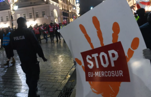 KE rozpoczyna działania umożliwiające wprowadzenie umowy z Mercosur