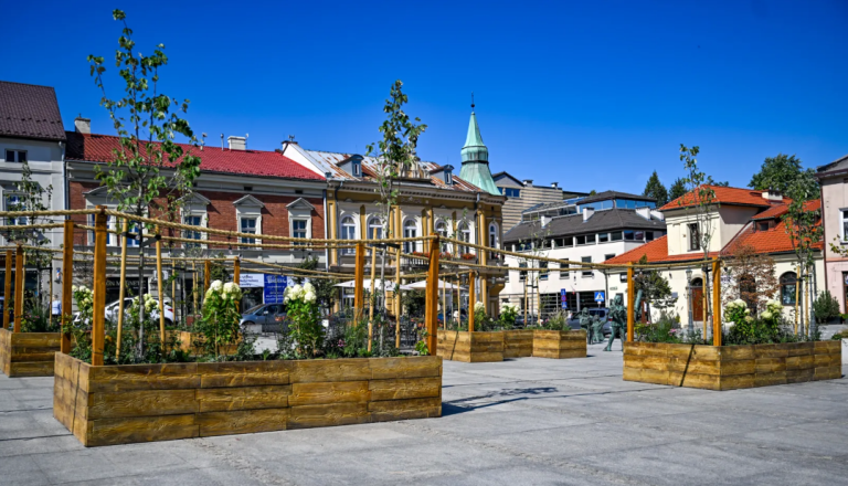 Wieliczka walczy z betonozą